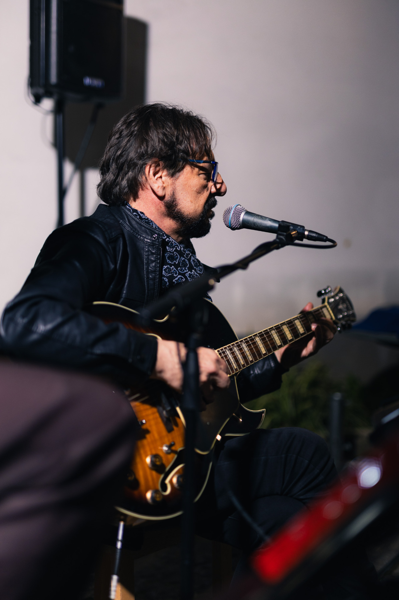 Un momento musicale · Il cantante alla chitarra
